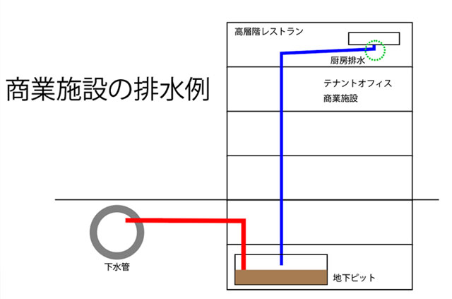 Ǝ{݂̔r}
