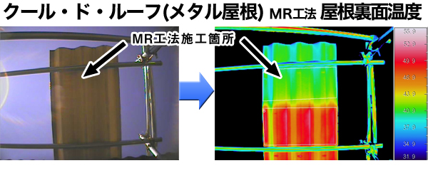 T[Otɂ鑪茋ʁi\ʁj