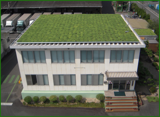 金属屋根緑化工法施工例